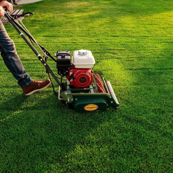 0005_cal-trimmer-1030414 Classic Standard 20 in. 7-Blade Gas Walk Behind Lawn Mower