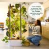 81M_zQGngXL Home 4 Vertical Hydroponics Growing System Kit - 30 Plants