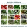 81gHywXLi4L Home 4 Vertical Hydroponics Growing System Kit - 30 Plants