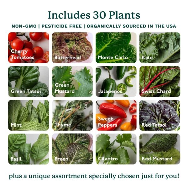 81gHywXLi4L Home 4 Vertical Hydroponics Growing System Kit - 30 Plants