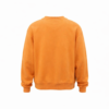 thehalltreeboutiquepella-2 Pella Iowa Embroidered Orange Crewneck Sweatshirt for Women Oversized Casual Pullover